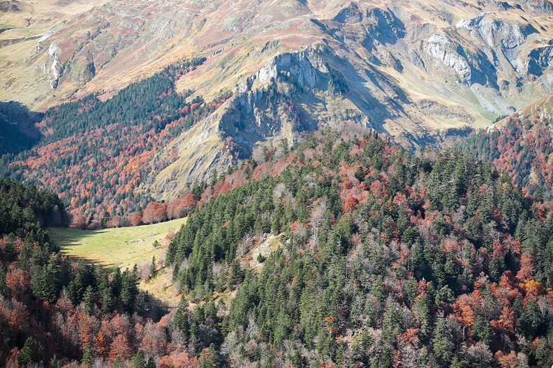Paysage-Pyrenees-Ossau-Col-Long-Magnabaigt-Haut-2019-10-30-(3).jpg